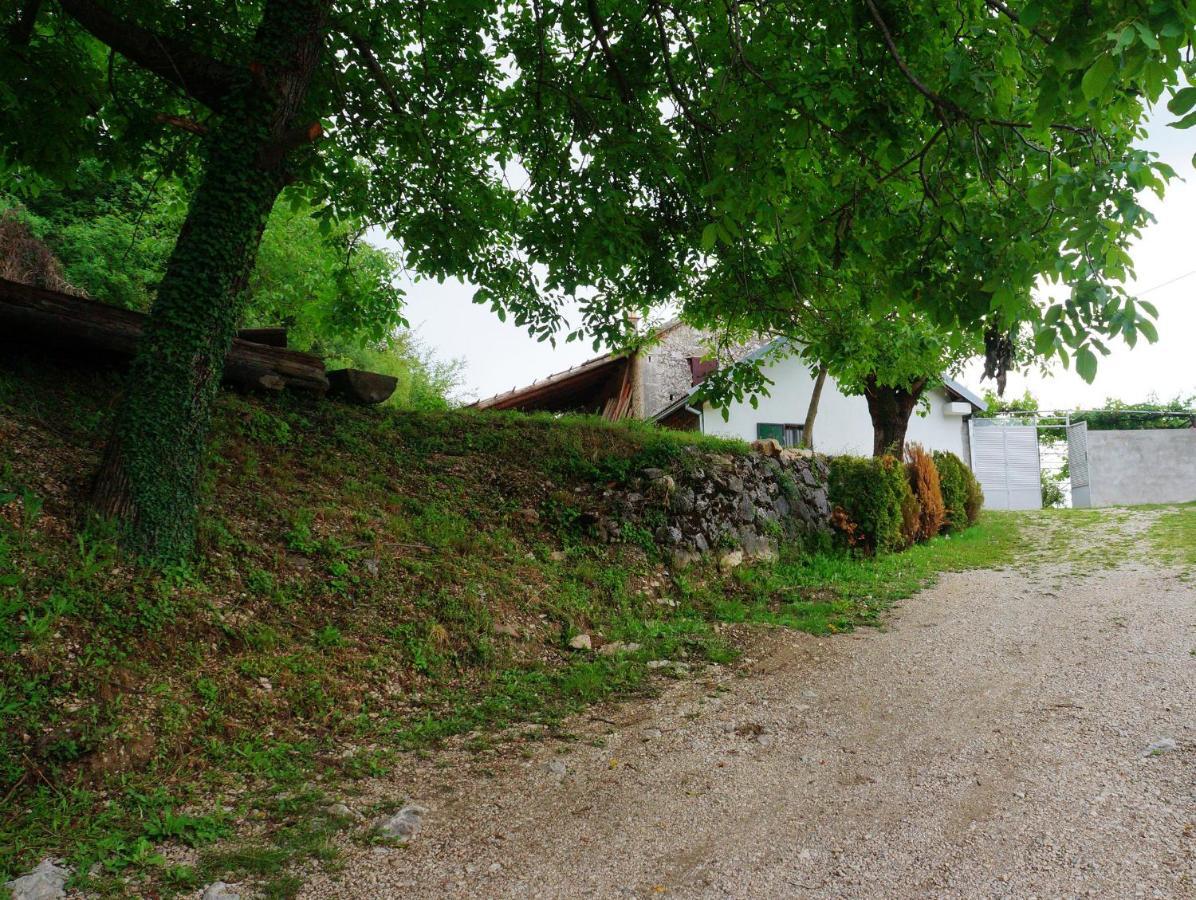 Nikšić Old House Kontic 아파트 외부 사진